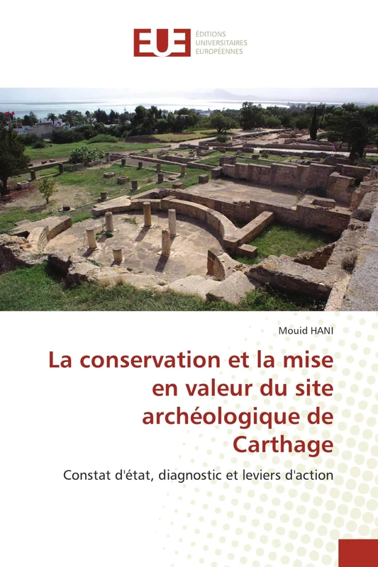 La conservation et la mise en valeur du site archéologique de Carthage: Constat d'état, diagnostic et leviers d'action