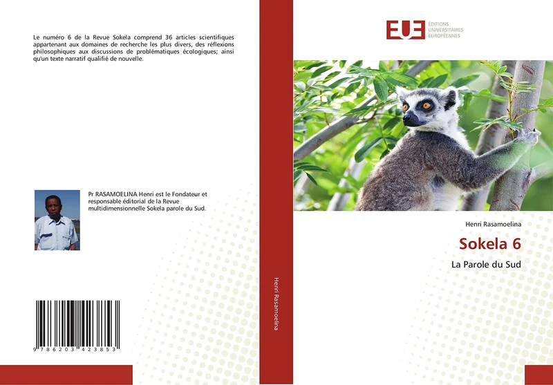 Sokela 6: La Parole du Sud