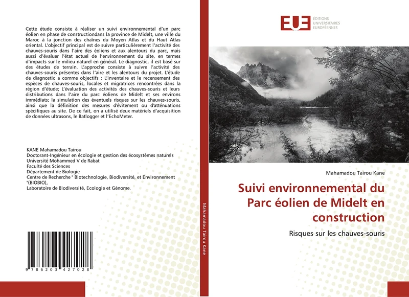 Suivi environnemental du Parc éolien de Midelt en construction: Risques sur les chauves-souris - Image 1