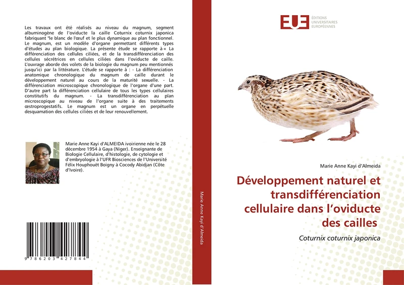 Développement naturel et transdifférenciation cellulaire dans l’oviducte des cailles: Coturnix coturnix japonica - Image 1