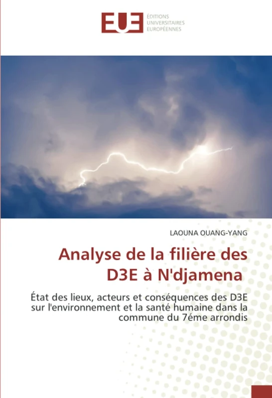 Analyse de la filière des D3E à N'djamena: État des lieux, acteurs et conséquences des D3E sur l'environnement et la santé humaine dans la commune du 7éme arrondis