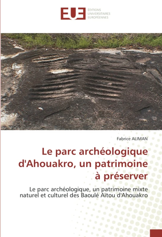Le parc archéologique d'Ahouakro, un patrimoine à préserver: Le parc archéologique, un patrimoine mixte naturel et culturel des Baoulé Aïtou d'Ahouakro - Image 1