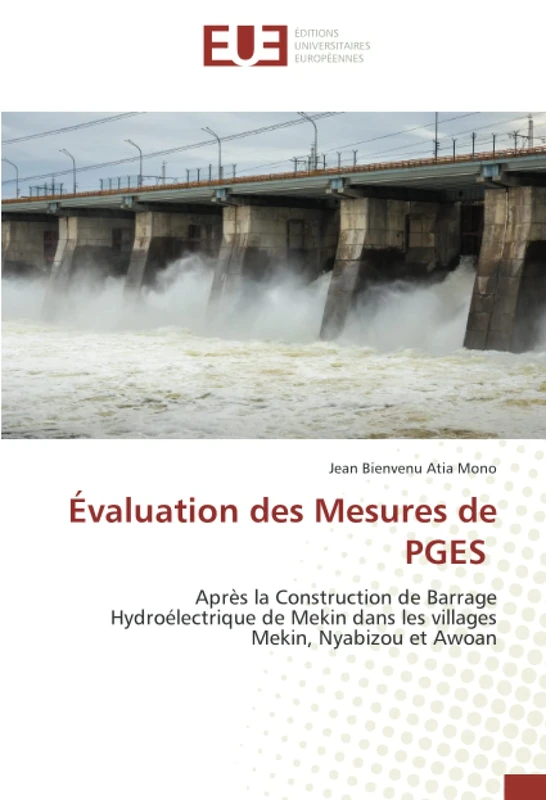Évaluation des Mesures de PGES: Après la Construction de Barrage Hydroélectrique de Mekin dans les villages Mekin, Nyabizou et Awoan