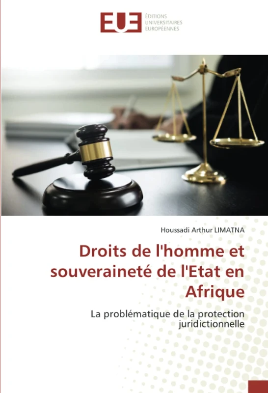 Droits de l'homme et souveraineté de l'Etat en Afrique: La problématique de la protection juridictionnelle