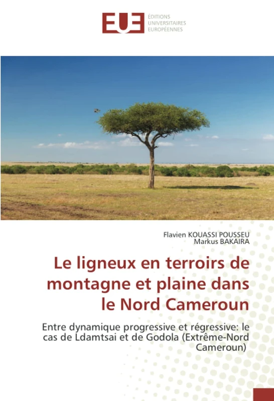 Le ligneux en terroirs de montagne et plaine dans le Nord Cameroun: Entre dynamique progressive et régressive: le cas de Ldamtsai et de Godola (Extrême-Nord Cameroun) - Image 1