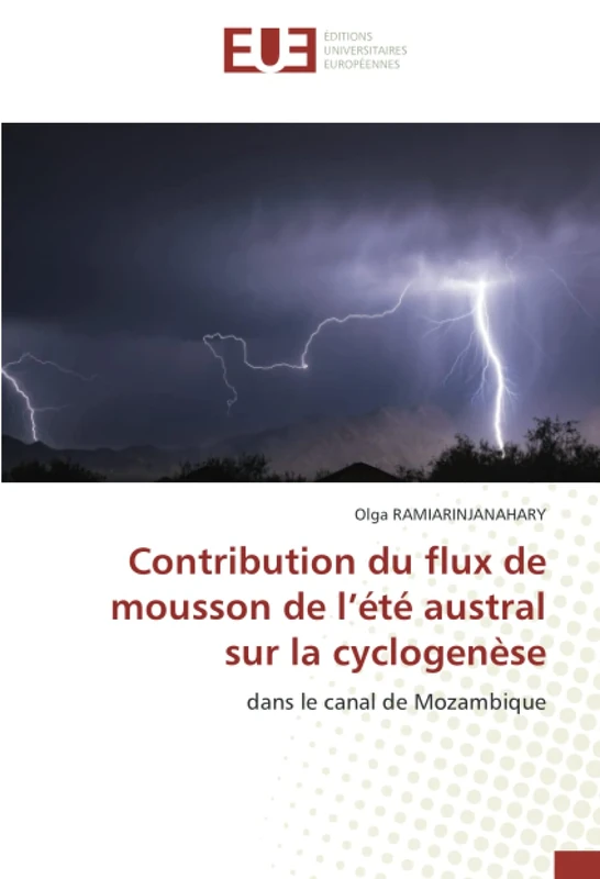 Contribution du flux de mousson de l’été austral sur la cyclogenèse: dans le canal de Mozambique