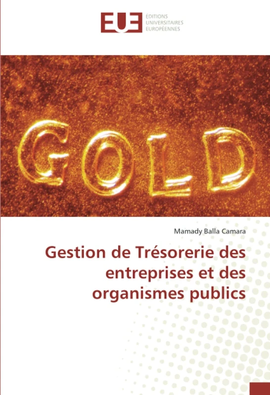 Gestion de Trésorerie des entreprises et des organismes publics