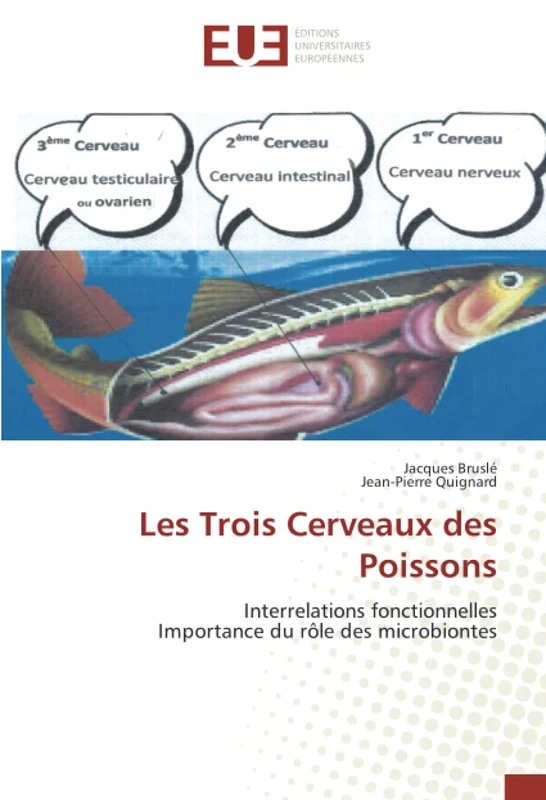 Les Trois Cerveaux des Poissons: Interrelations fonctionnelles Importance du rôle des microbiontes - Image 1