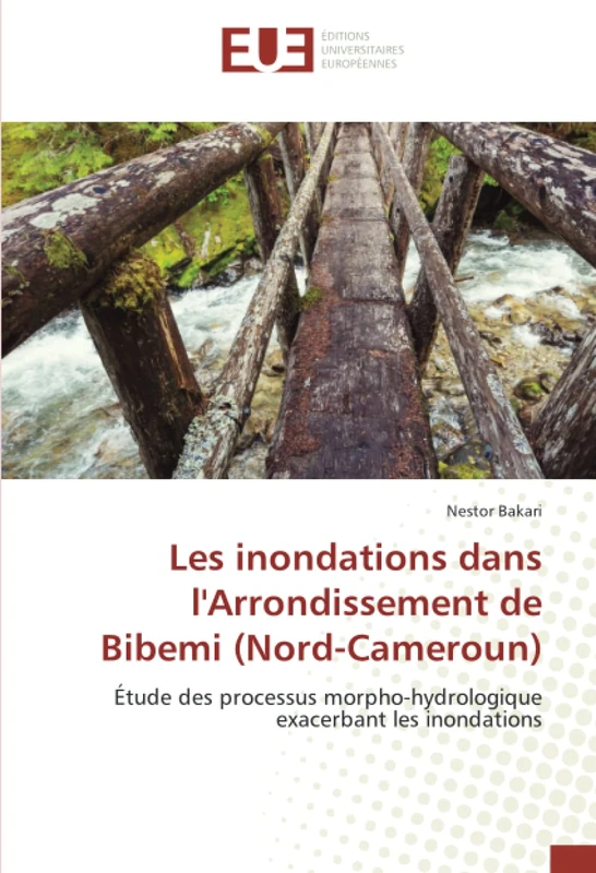 Les inondations dans l'Arrondissement de Bibemi (Nord-Cameroun): Étude des processus morpho-hydrologique exacerbant les inondations