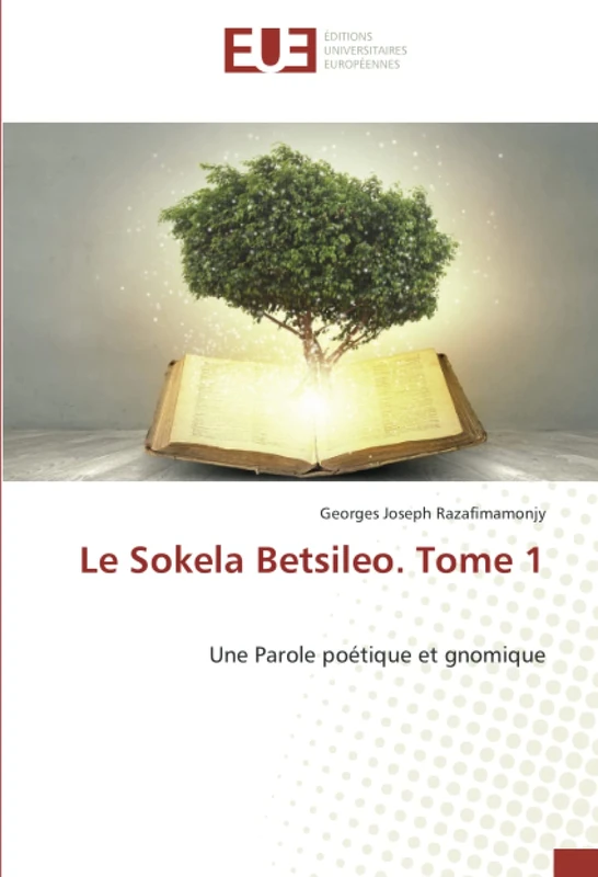 Le Sokela Betsileo. Tome 1: Une Parole poétique et gnomique