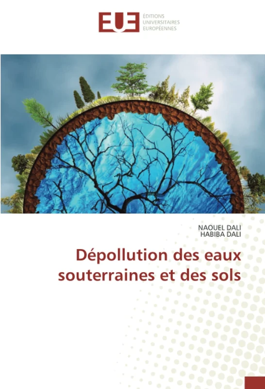 Dépollution des eaux souterraines et des sols