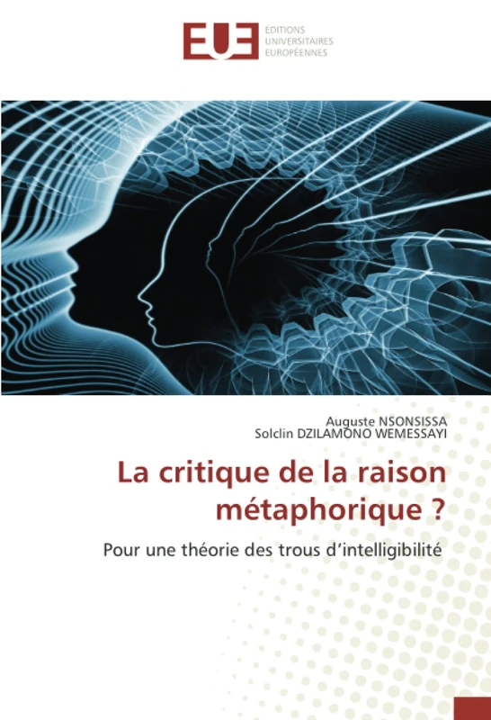 La critique de la raison métaphorique ?: Pour une théorie des trous d’intelligibilité