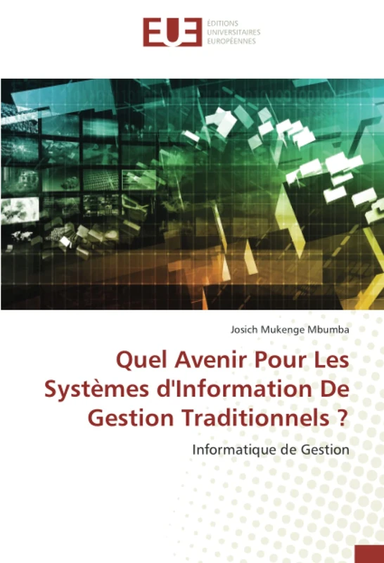 Quel Avenir Pour Les Systèmes d'Information De Gestion Traditionnels ?: Informatique de Gestion - Image 1