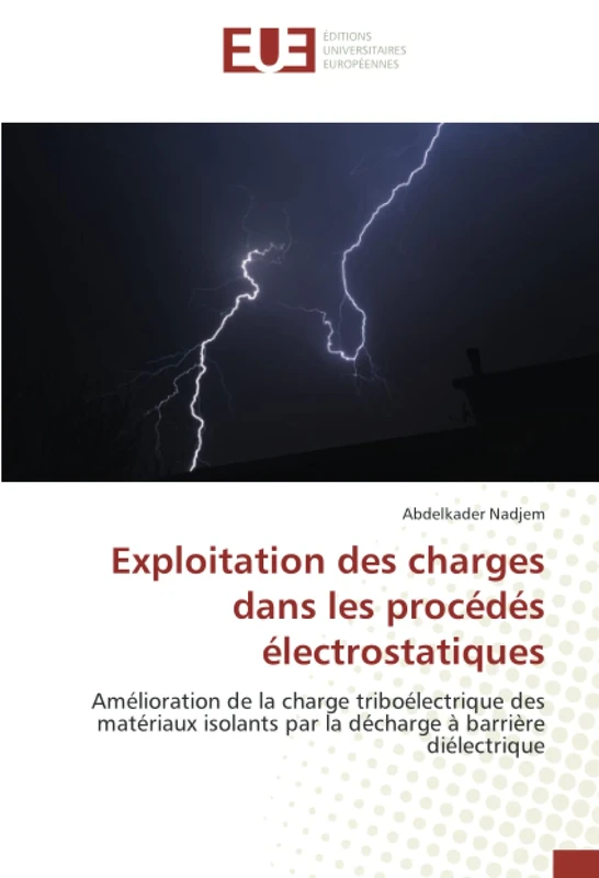 Exploitation des charges dans les procédés électrostatiques: Amélioration de la charge triboélectrique des matériaux isolants par la décharge à barrière diélectrique - Image 1