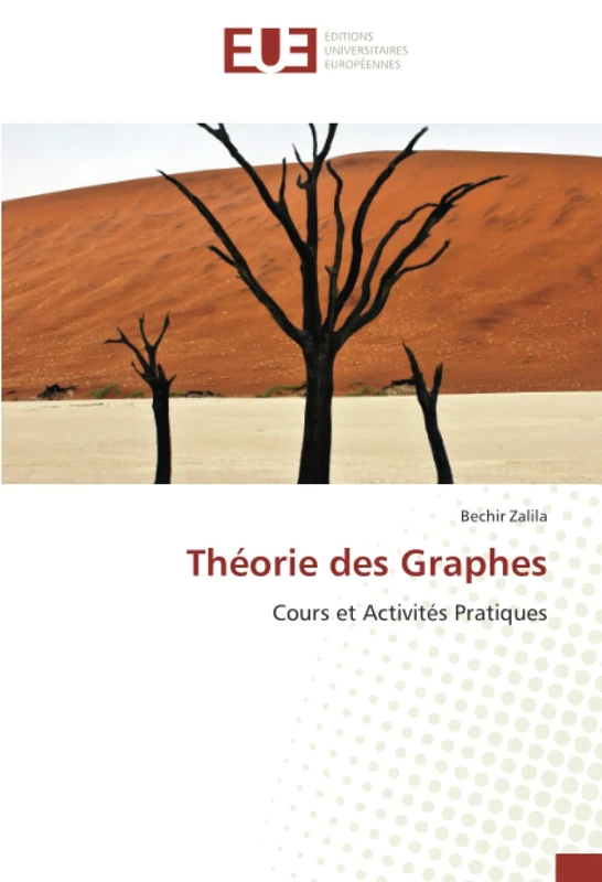 Théorie des Graphes: Cours et Activités Pratiques