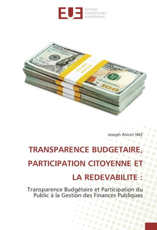 TRANSPARENCE BUDGETAIRE, PARTICIPATION CITOYENNE ET LA REDEVABILITE :: Transparence Budgétaire et Participation du Public à la Gestion des Finances Publiques