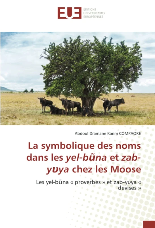 La symbolique des noms dans les yel-bũna et zab-yυya chez les Moose: Les yel-bũna « proverbes » et zab-yυya « devises »: Les yel-b¿na ' proverbes ' et zab-y¿ya ' devises ' - Image 1