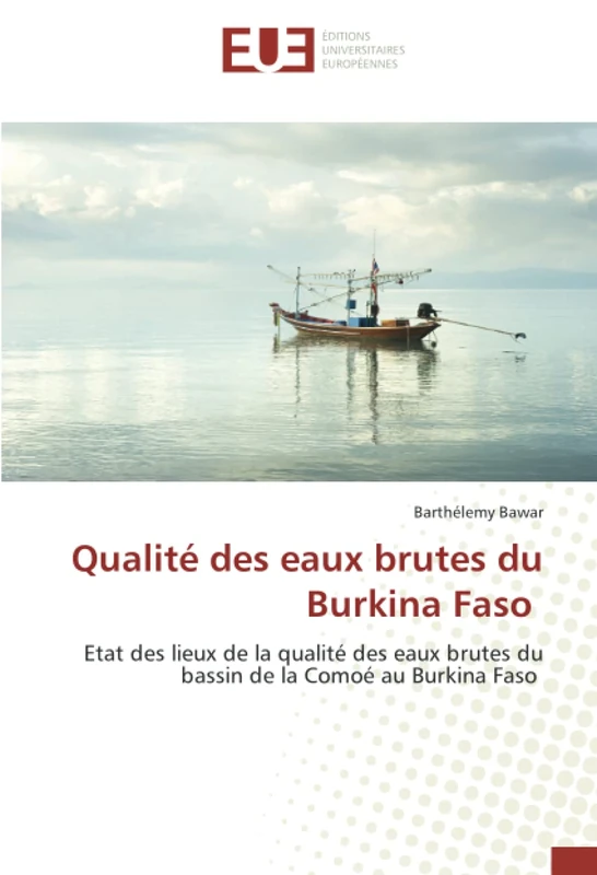 Qualité des eaux brutes du Burkina Faso: Etat des lieux de la qualité des eaux brutes du bassin de la Comoé au Burkina Faso - Image 1