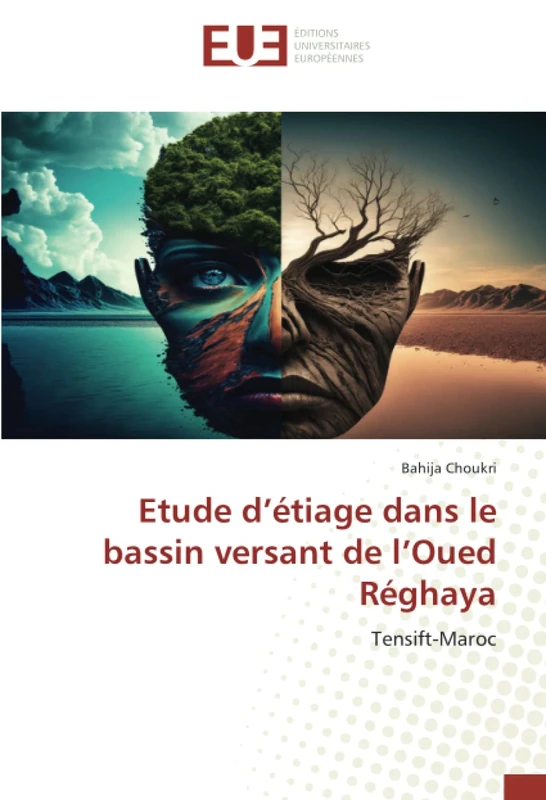 Etude d’étiage dans le bassin versant de l’Oued Réghaya: Tensift-Maroc - Image 1