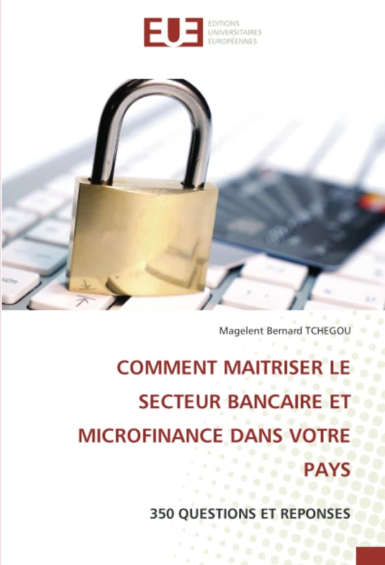 COMMENT MAITRISER LE SECTEUR BANCAIRE ET MICROFINANCE DANS VOTRE PAYS: 350 QUESTIONS ET REPONSES