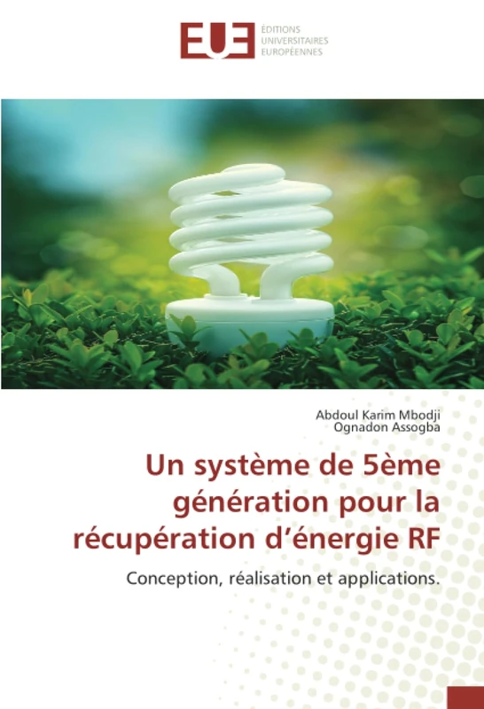 Un système de 5ème génération pour la récupération d’énergie RF: Conception, réalisation et applications.