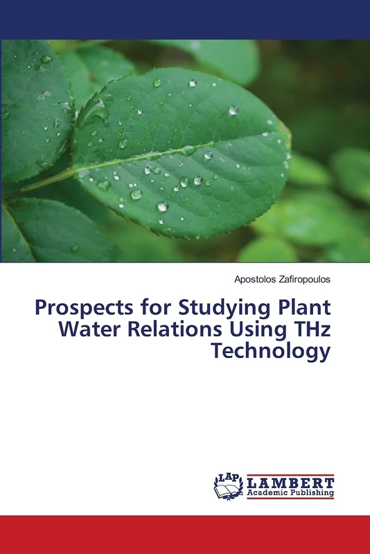 Prospects for Studying Plant Water Relations Using THz Technology