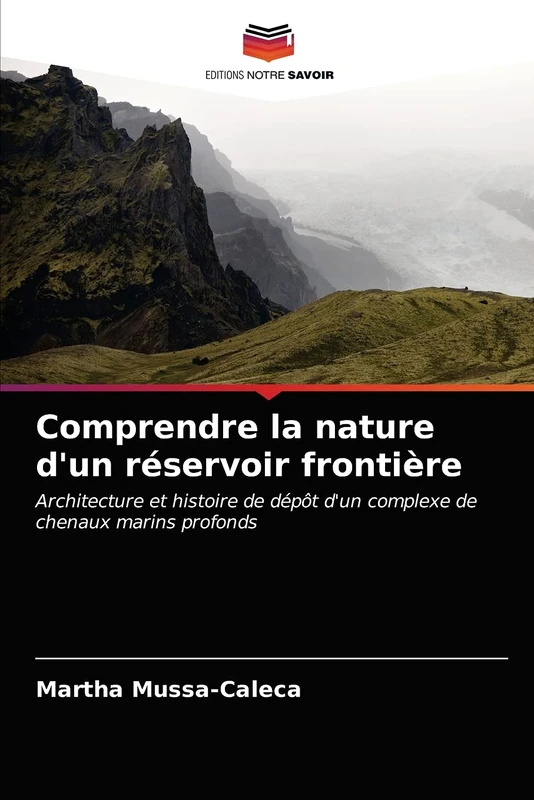 Comprendre la nature d'un réservoir frontière: Architecture et histoire de dépôt d'un complexe de chenaux marins profonds - Image 1