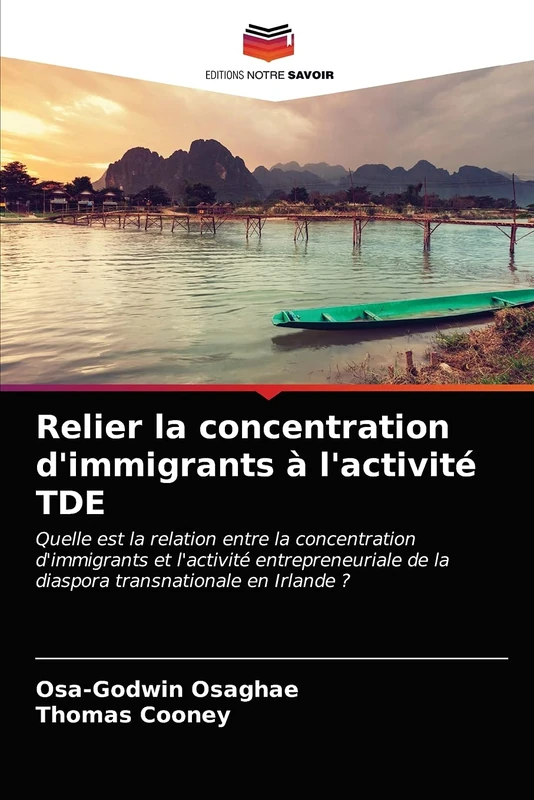 Relier la concentration d'immigrants à l'activité TDE: Quelle est la relation entre la concentration d'immigrants et l'activité entrepreneuriale de la diaspora transnationale en Irlande ? - Image 1