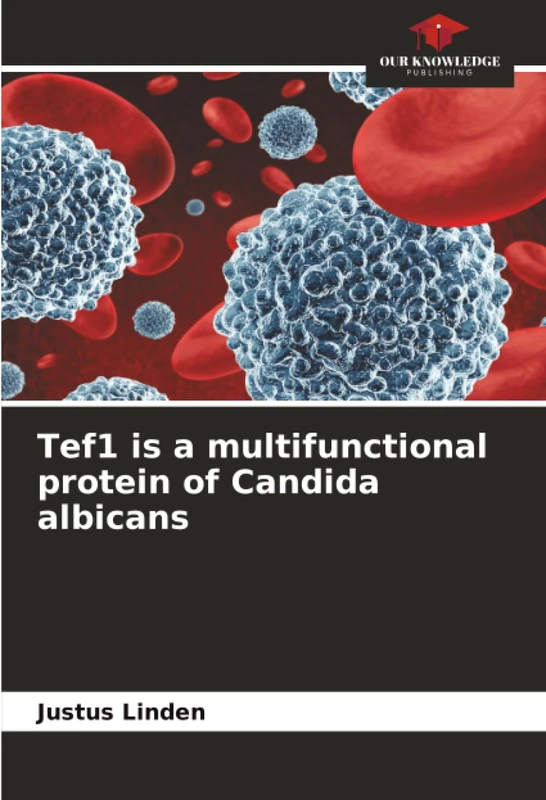 Tef1 is a multifunctional protein of Candida albicans - Image 1