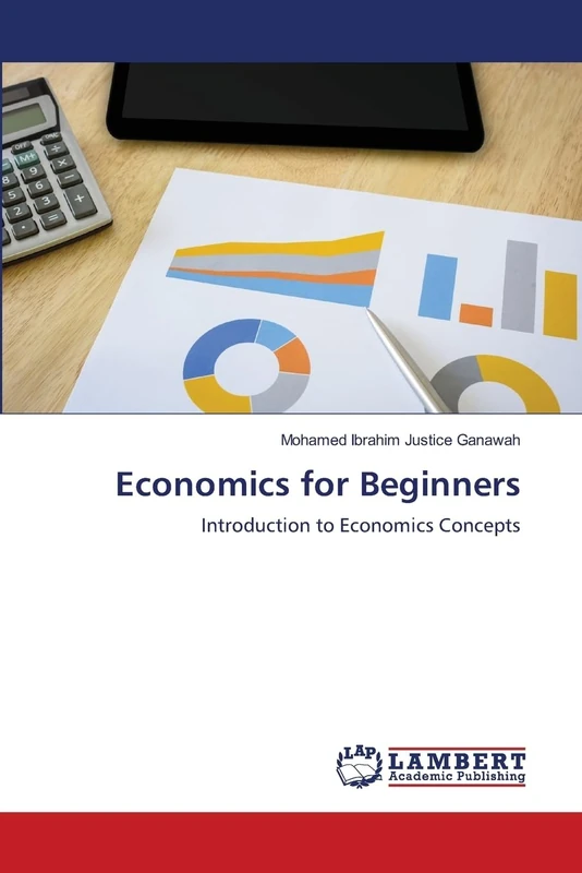 Economics for Beginners: Introduction to Economics Concepts
