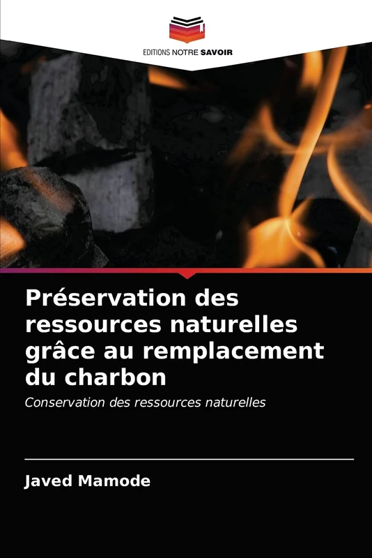 Préservation des ressources naturelles grâce au remplacement du charbon: Conservation des ressources naturelles - Image 1