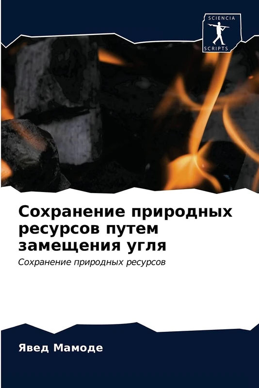Сохранение природных ресурсов путем замещения угля: Сохранение природных ресурсов: Sohranenie prirodnyh resursow - Image 1