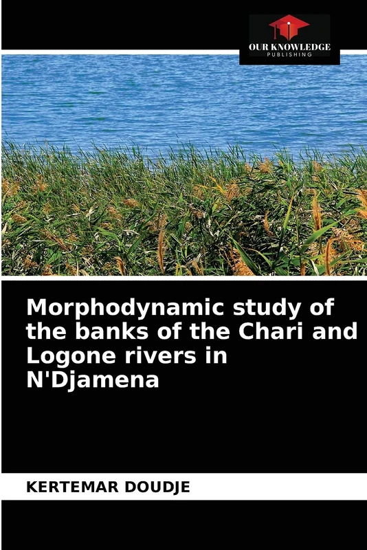 Morphodynamic study of the banks of the Chari and Logone rivers in N'Djamena - Image 1