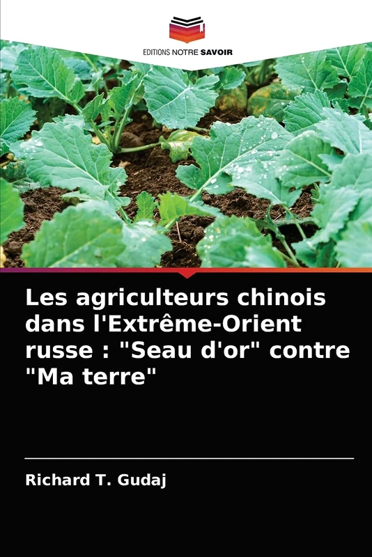Les agriculteurs chinois dans l'Extrême-Orient russe : "Seau d'or" contre "Ma terre" - Image 1
