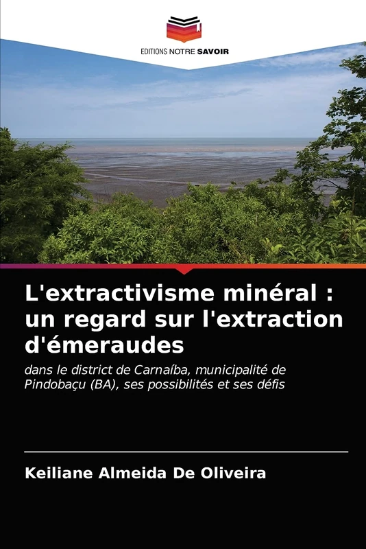 L'extractivisme minéral : un regard sur l'extraction d'émeraudes: dans le district de Carnaíba, municipalité de Pindobaçu (BA), ses possibilités et ses défis - Image 1