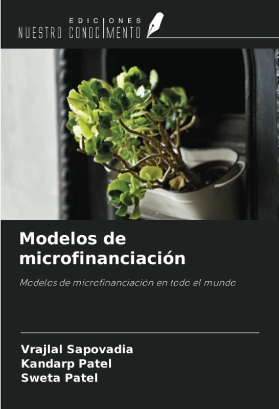 Modelos de microfinanciación: Modelos de microfinanciación en todo el mundo