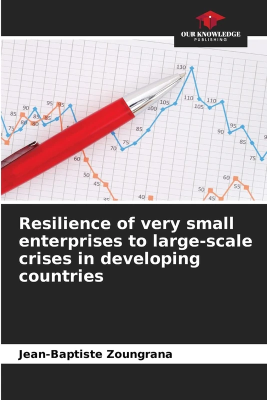 Resilience of very small enterprises to large-scale crises in developing countries