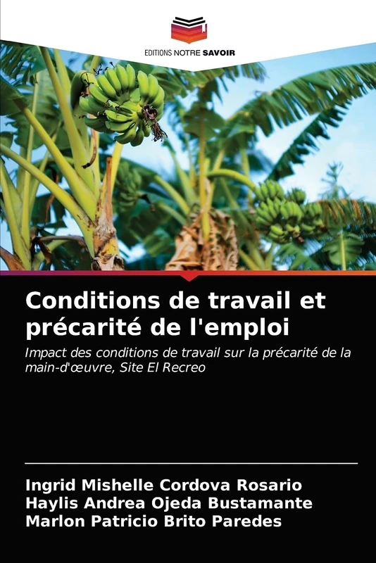 Conditions de travail et précarité de l'emploi: Impact des conditions de travail sur la précarité de la main-d'œuvre, Site El Recreo