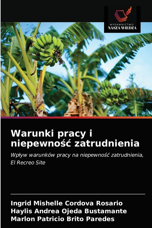 Warunki pracy i niepewność zatrudnienia: Wpływ warunków pracy na niepewność zatrudnienia, El Recreo Site - Image 1