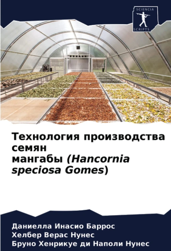 Технология производства семян мангабы (Hancornia speciosa Gomes) - Image 1
