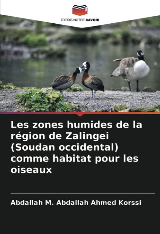 Les zones humides de la région de Zalingei (Soudan occidental) comme habitat pour les oiseaux - Image 1