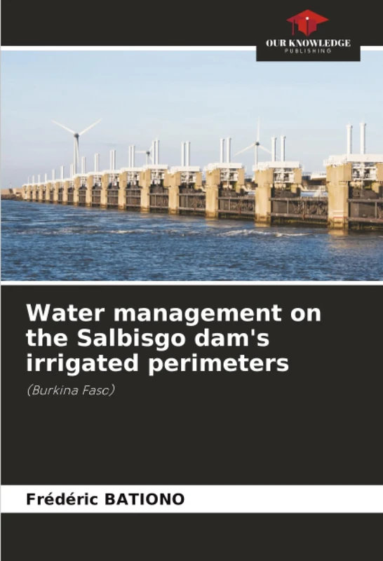 Water management on the Salbisgo dam's irrigated perimeters: (Burkina Faso)