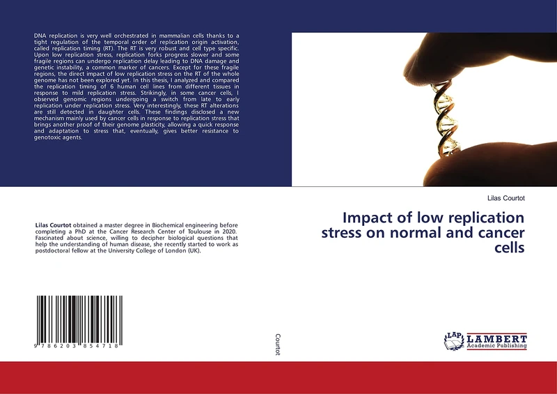 Impact of low replication stress on normal and cancer cells