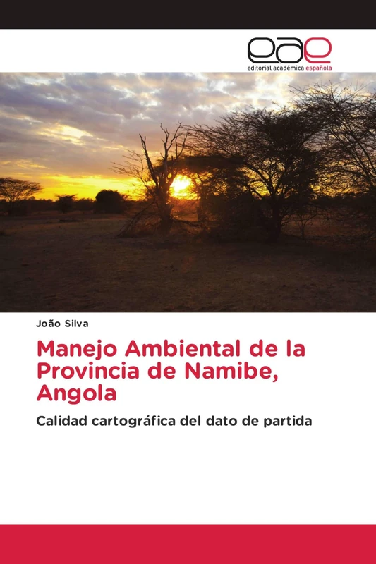 Manejo Ambiental de la Provincia de Namibe, Angola: Calidad cartográfica del dato de partida - Image 1