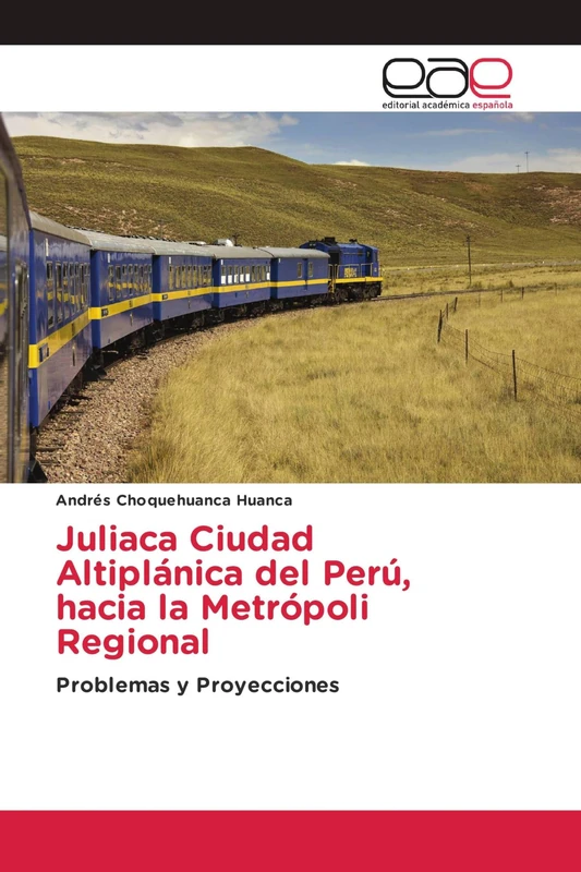 Juliaca Ciudad Altiplánica del Perú, hacia la Metrópoli Regional: Problemas y Proyecciones