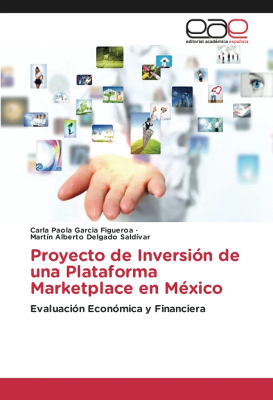 Proyecto de Inversión de una Plataforma Marketplace en México: Evaluación Económica y Financiera