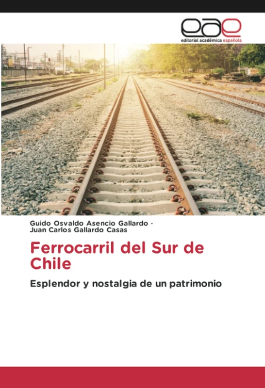 Ferrocarril del Sur de Chile: Esplendor y nostalgia de un patrimonio - Image 1