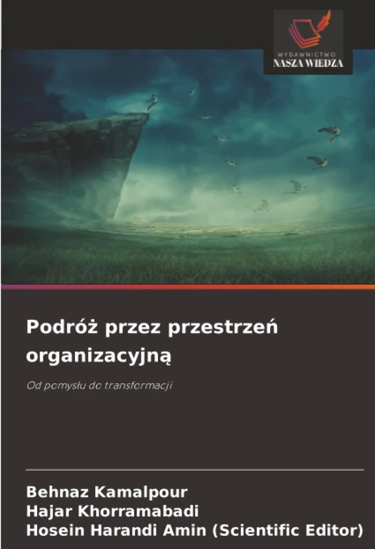 Podróż przez przestrzeń organizacyjną: Od pomysłu do transformacji
