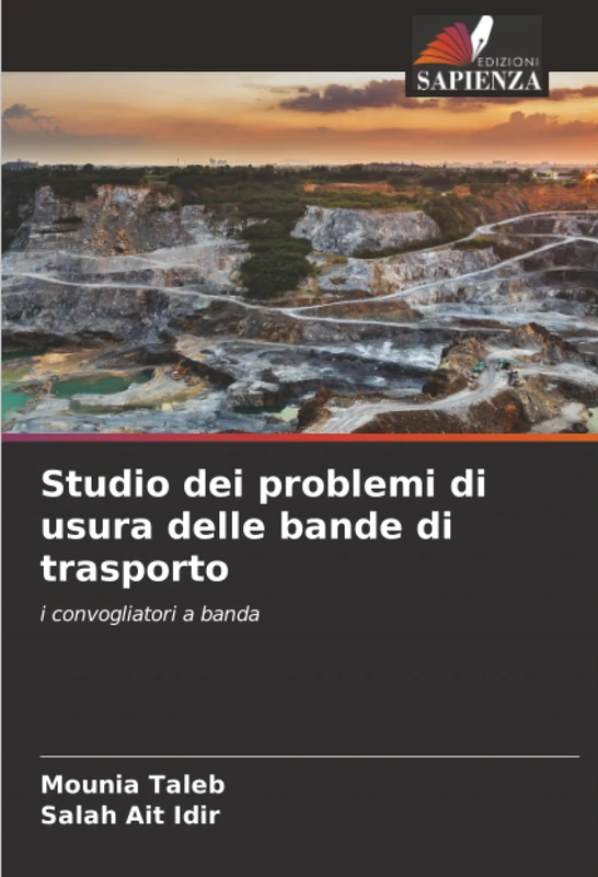 Studio dei problemi di usura delle bande di trasporto: i convogliatori a banda