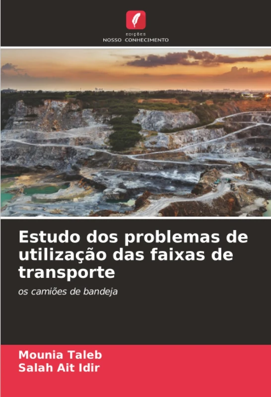 Estudo dos problemas de utilização das faixas de transporte: os camiões de bandeja